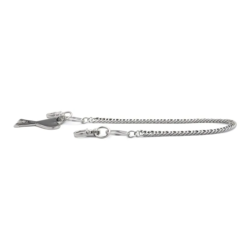 AMIPARIS Logo plaque Chain link Key Chain-3