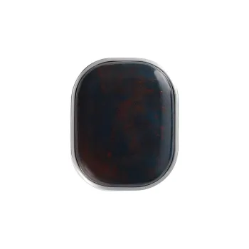 Bottega Veneta Sterling Silver Brooches Unisex Black