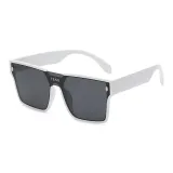 White Frame with Gray Lens