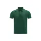 DG-Posy Green