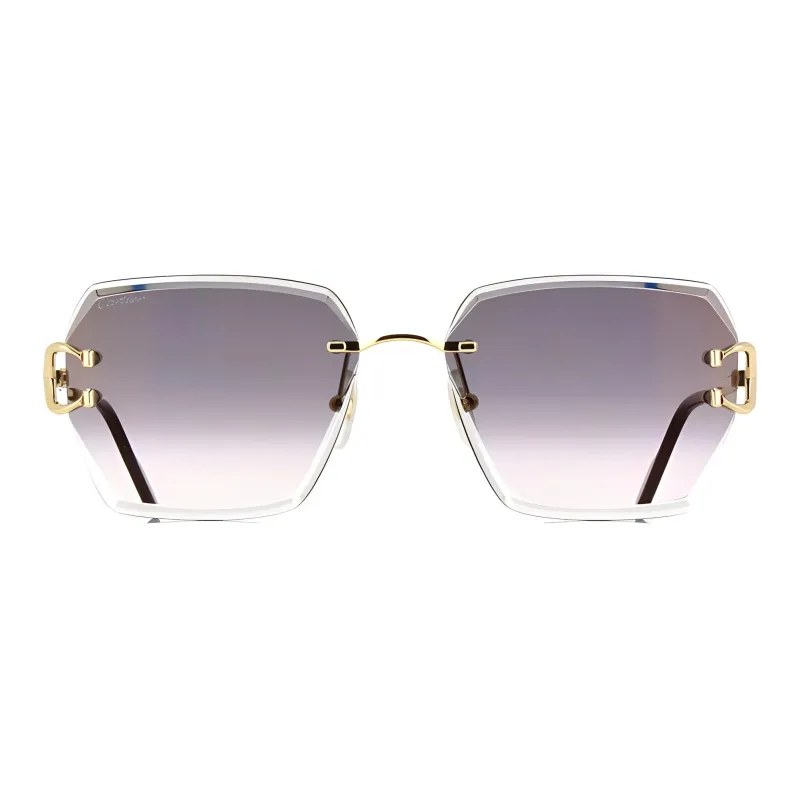 Cartier Signature C De Cartier Geometric frame Sunglasses-0