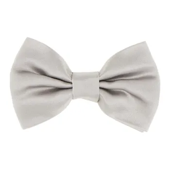 Corneliani Silk Bow Tie