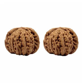 TANGSHU Walnut Fine Handicraft Handlebar Piece Unisex