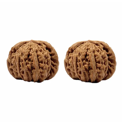 TANGSHU Walnut Fine Handicraft Handlebar Piece Unisex