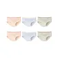 6 Pack (Blue 2+Green 2+Shrimp Pink 2)