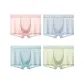Light Pink+Grass Green+Ice Gray+Gray Blue