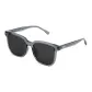Z69150-C05 Transparent Gray