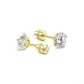 Gold-Iridescent Sparkle Star Stud Earrings (3MM)
