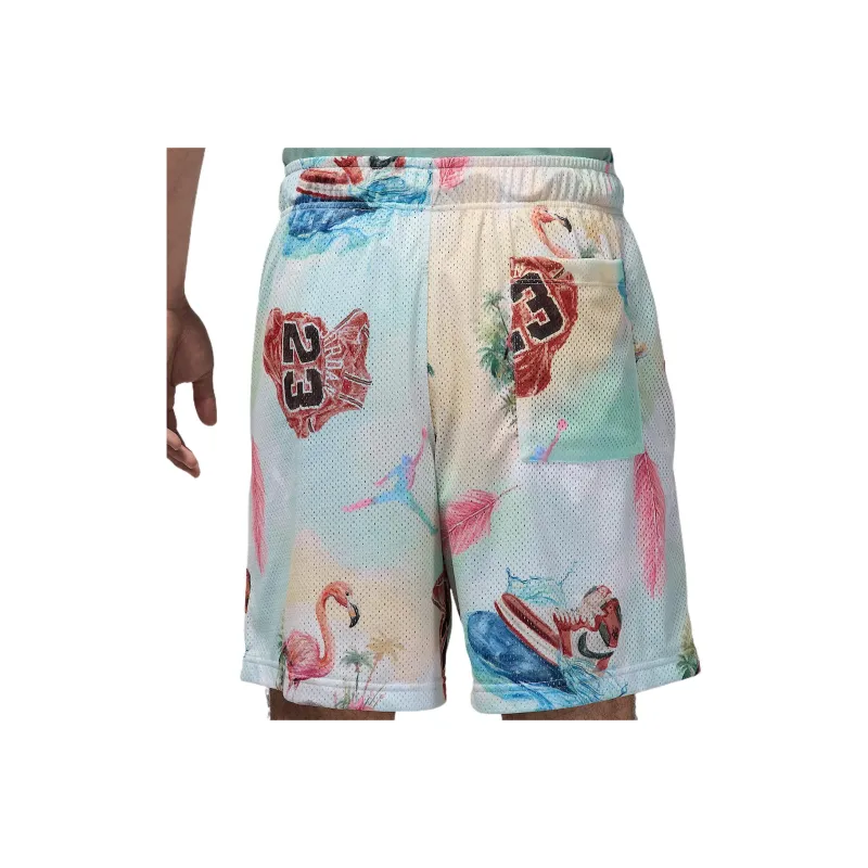 Jordan Essentials Men's Printed Mesh Shorts-1