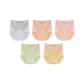 Gray+Orange+Light Pink+Light Green+Light Yellow