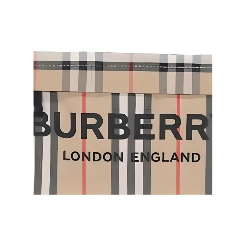 Burberry Nylon Handbag Shoulder Bag Crossbody Bag Clutches Regular Women's Beige-3