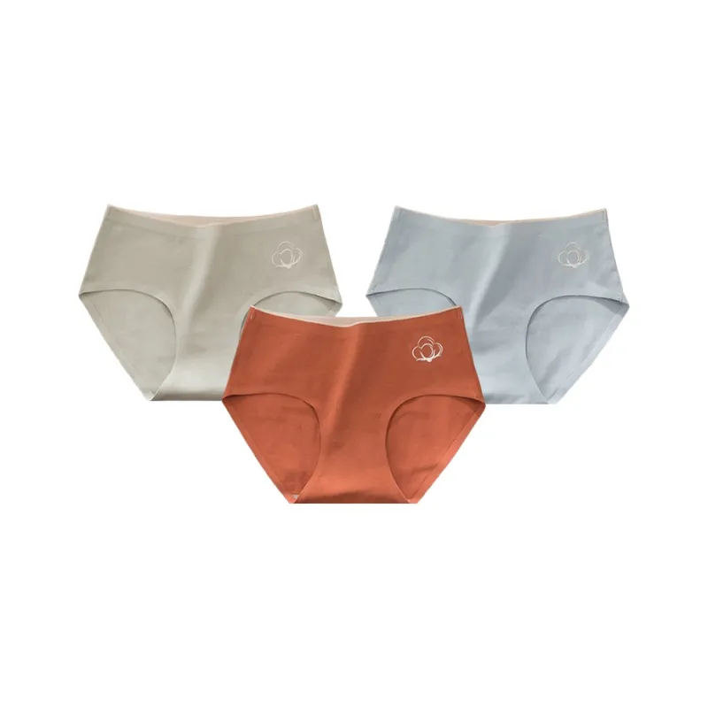 Caramella Underpants Women's 3 Pack-30