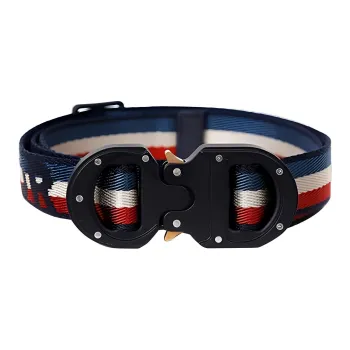DIOR Stripes Logo Buckle Leather Belts Unisex