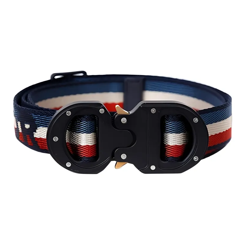 DIOR Stripes Logo Buckle Leather Belts Unisex-0