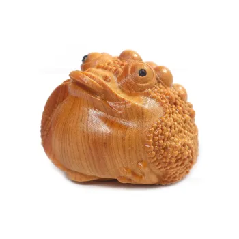 Xianyou Thuja Collectible Unisex