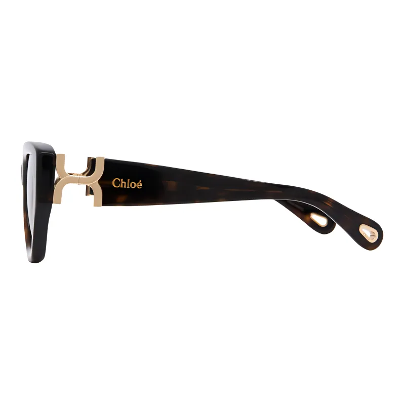Chloe Acetate Bio Based Nylon Irregular Shape Sunglasses Women's Tortoiseshell-2