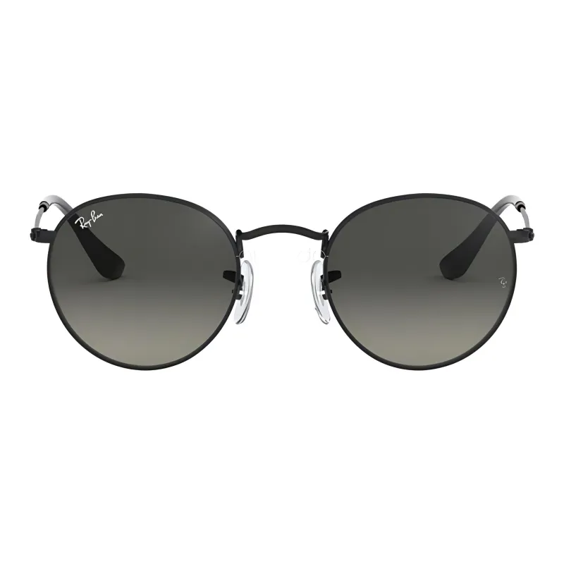 RayBan Round Frame Sunglasses-1