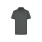 44 Gray Green
