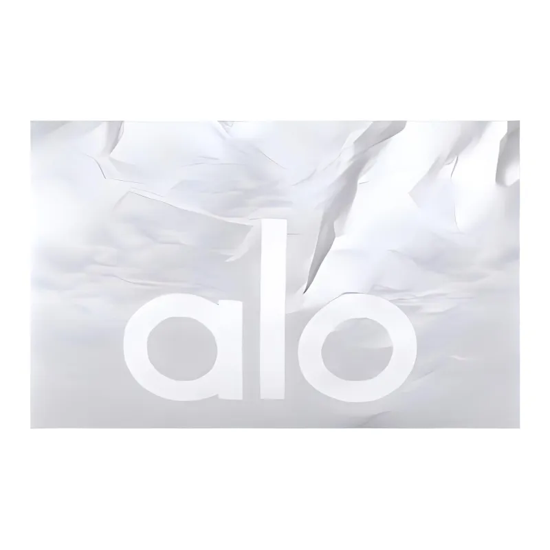 Alo Yoga Polyethylene Handbag Regular Unisex Silver-3