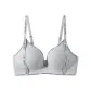 Silver Gray
