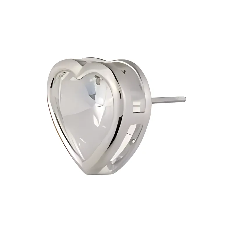 Givenchy Crystal Titanium Column Metal Stud Earrings Unisex Silver-1