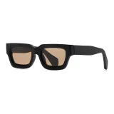 Black Frame with Tea Brown Lens