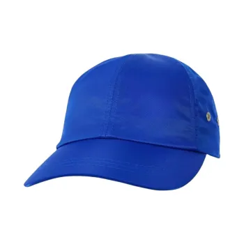PALACE Guard 6 Panel