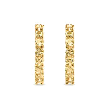 Swarovski Gold-Plated Earrings Women's
