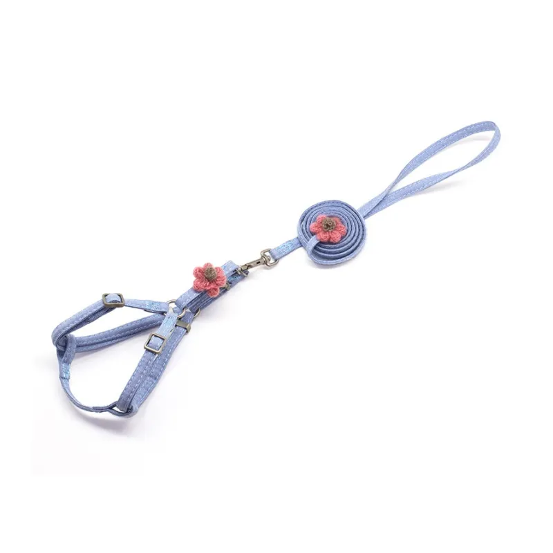 A good thing Leashes-4