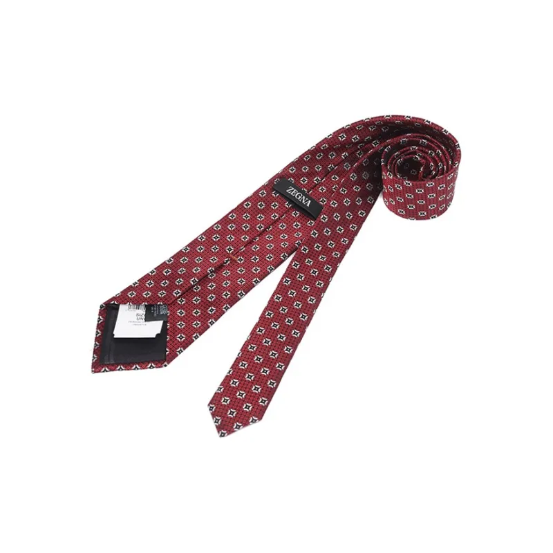 Ermenegildo Zegna Ties Men-2