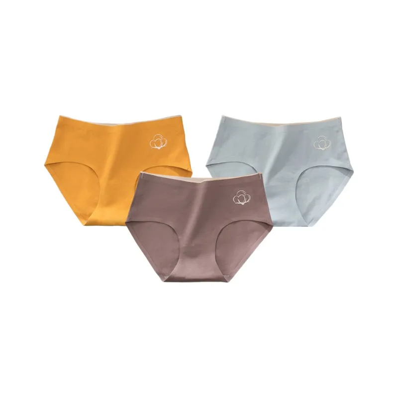 Caramella Underpants Women's 3 Pack-18