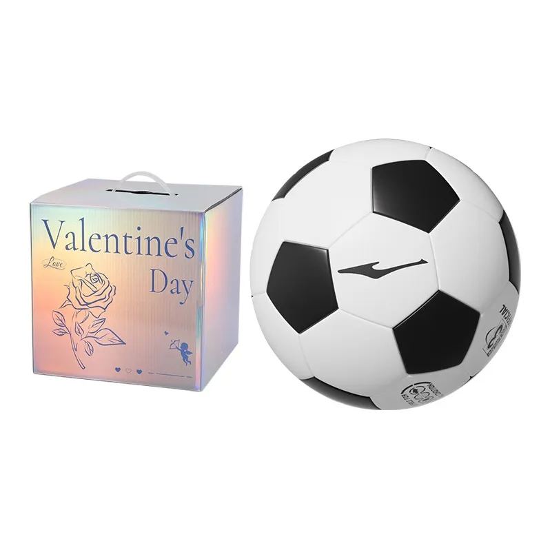 Erke Size 3, Size 4, Size 5 Machine Stitched Soccer Ball TPU Unisex Black White-13