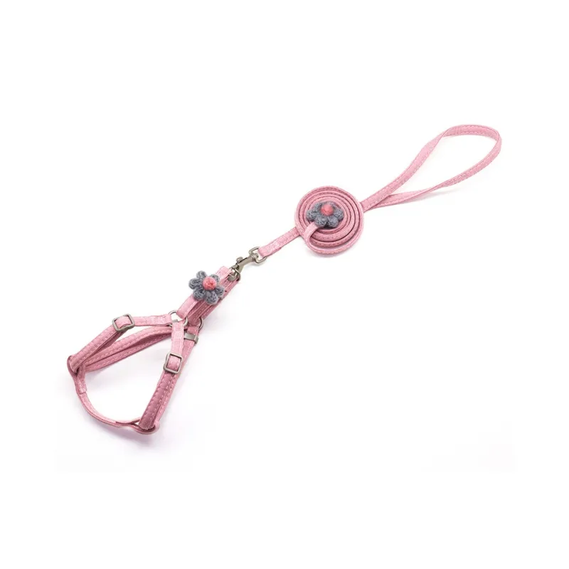 A good thing Leashes-1