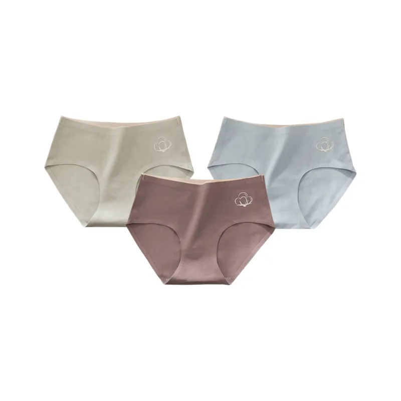 Caramella Underpants Women's 3 Pack-24