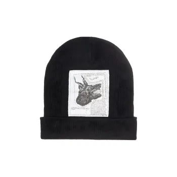 Supreme The North Face Beanie FW24