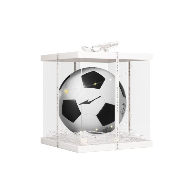 Erke Size 3, Size 4, Size 5 Machine Stitched Soccer Ball TPU Unisex Black White-9