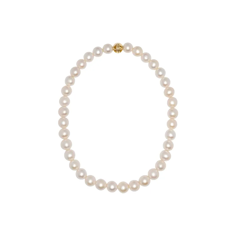 Anine Bing 14kt Yellow Gold Classic Pearl Choker Necklace-1