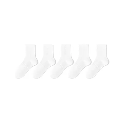 B&C.Room Mid Calf Socks Women's 5 Pack