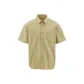 Light Khaki