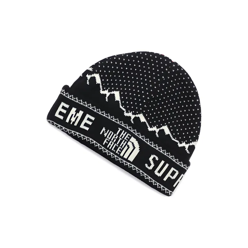 Supreme The North Face Fold Beanie-1