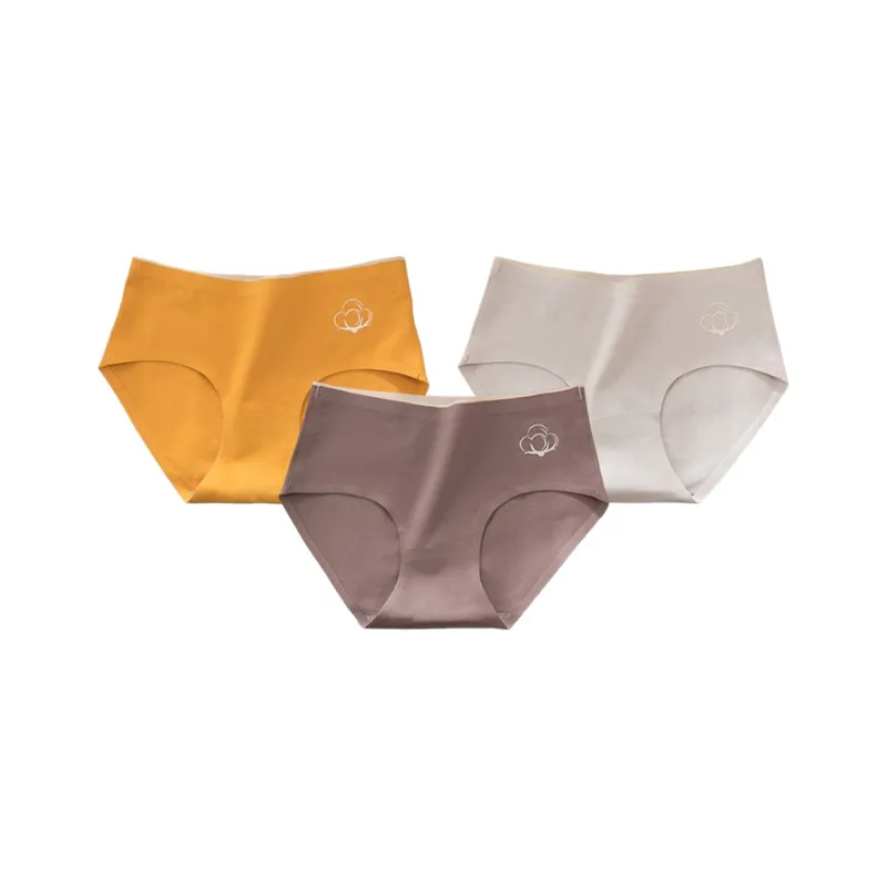 Caramella Underpants Women's 3 Pack-12