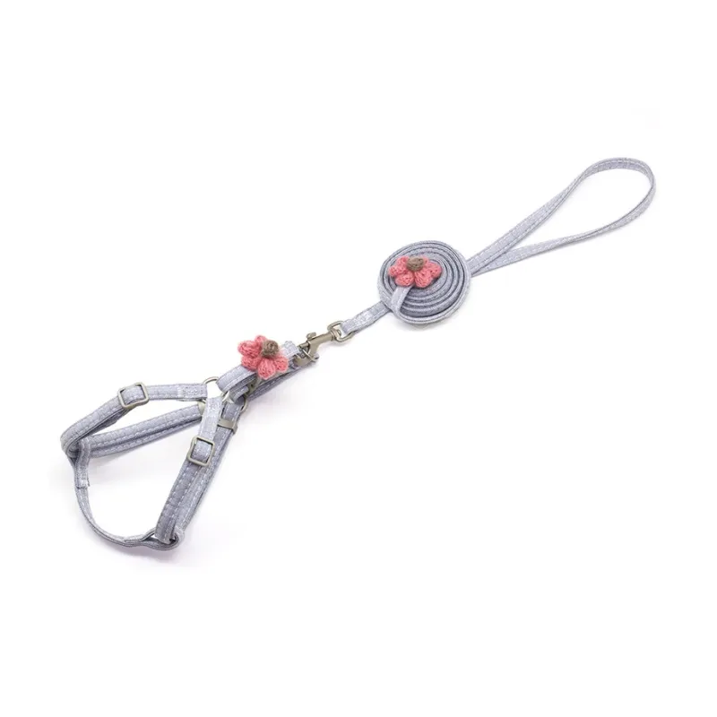 A good thing Leashes-2