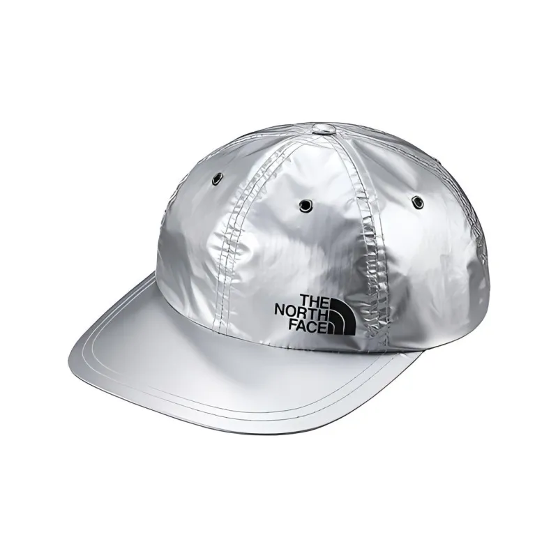 Supreme The North Face Metallic 6 Panel-4