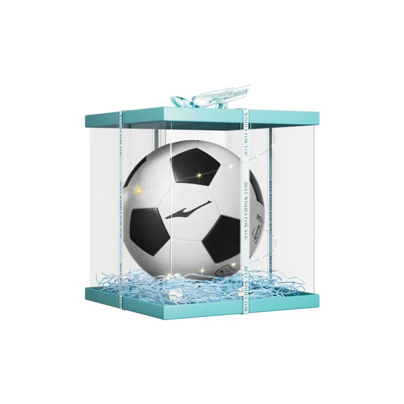 Erke Size 3, Size 4, Size 5 Machine Stitched Soccer Ball TPU Unisex Black White-8