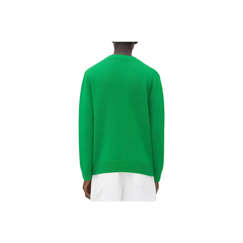Bottega Veneta Knitwear Men Green-1