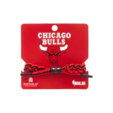 Bulls 12500018
