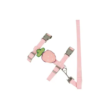 A good thing Leashes