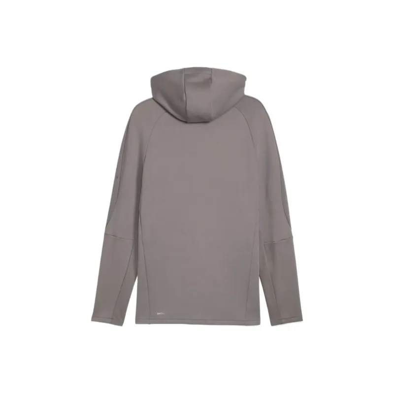 PUMA EVOSTRIPEhoodie Jacket Men's Gray Brown-1