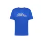 Bright Blue/T0276