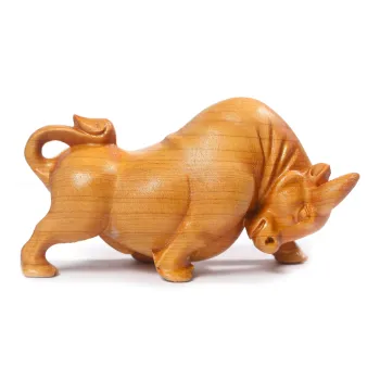 Xianyou Thuja Collectible Unisex